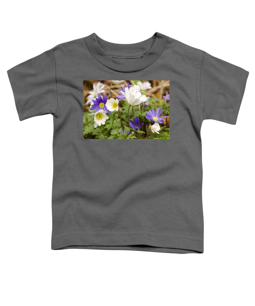 Flower Toddler T-Shirt featuring the photograph Anemone Blanda by Spikey Mouse Photography