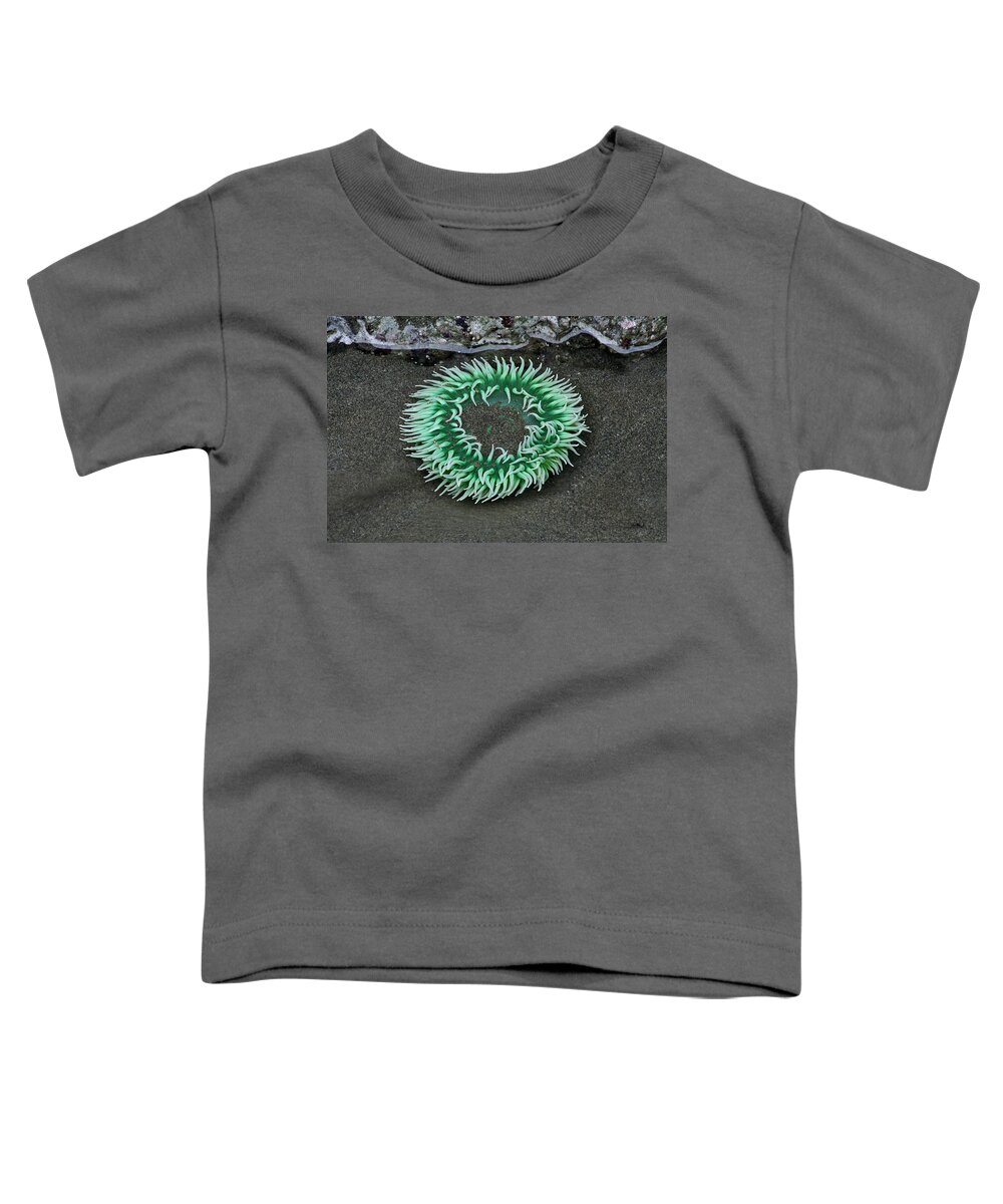 Olympic National Park Toddler T-Shirt featuring the photograph Anemone by Paul Schultz