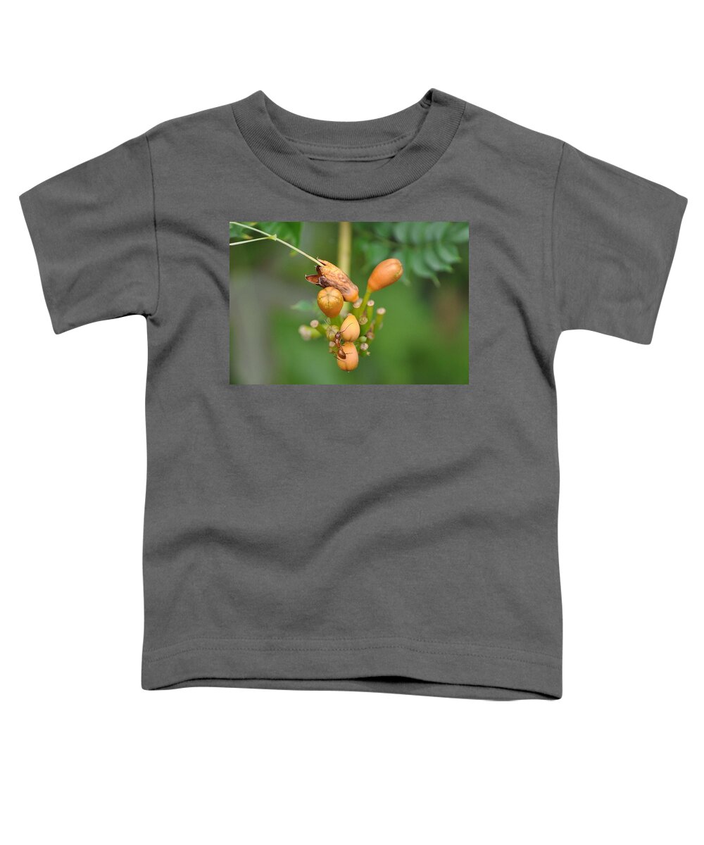 Ant Toddler T-Shirt featuring the photograph Ant on Plant by Stacy Abbott