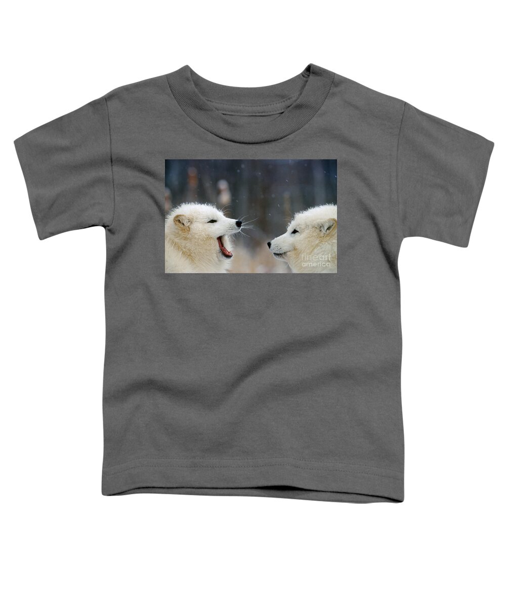 Animal Toddler T-Shirt featuring the photograph Arctic Fox Pair Playing by Alan and Sandy Carey