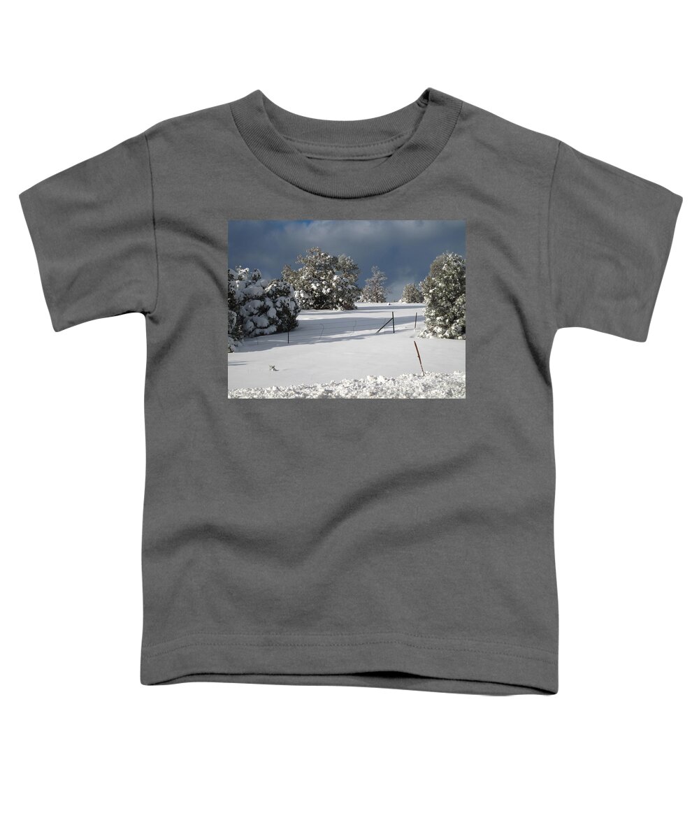 Toddler T-Shirt featuring the photograph Arizona Snow 3 by Gregory Daley MPSA
