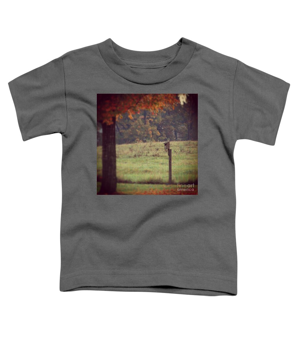 Autumn Toddler T-Shirt featuring the photograph Autumn Birdhouse by Kerri Farley