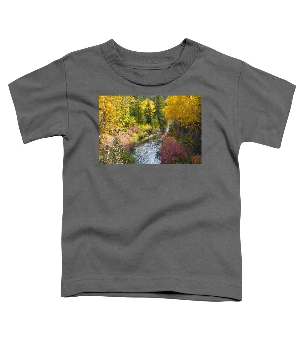 Dakota Toddler T-Shirt featuring the photograph Autumn Color Along Spearfish Creek by Greni Graph
