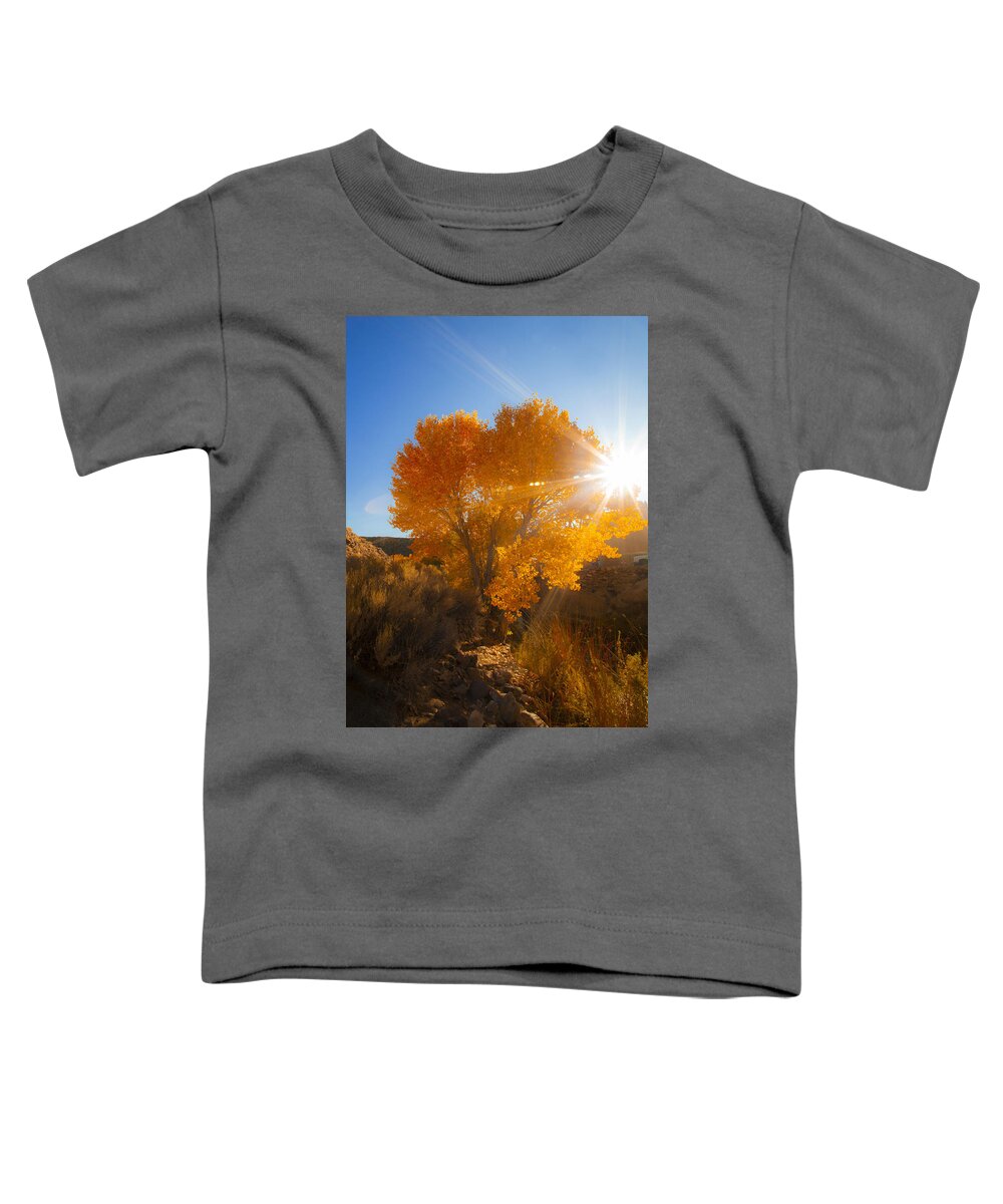 Autumn Tree Toddler T-Shirt featuring the photograph Autumn Golden Birch Tree in The Sun Fine Art Photograph Print by Jerry Cowart