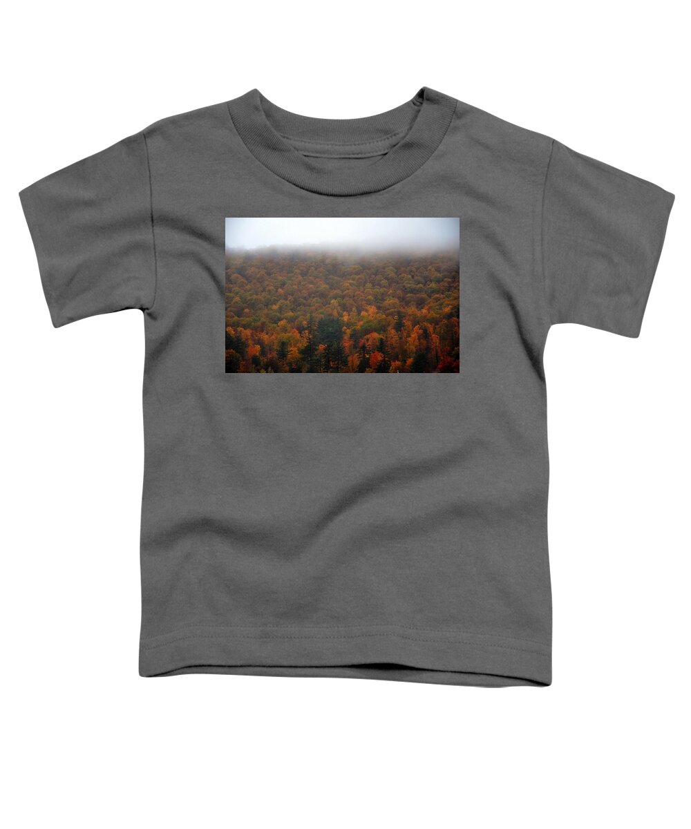 Autumn Toddler T-Shirt featuring the photograph Autumn in New Hampshire by Phyllis Meinke