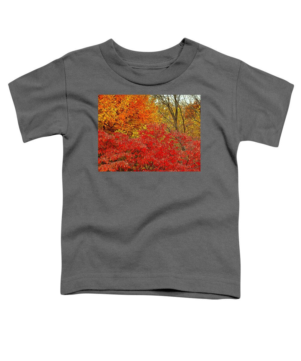 Fine Art Toddler T-Shirt featuring the photograph Autumn Patterns by Rodney Lee Williams