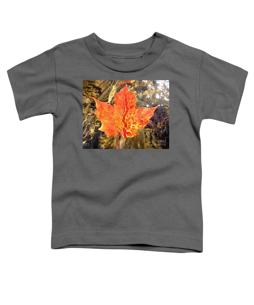 Leaf Toddler T-Shirt featuring the photograph Autumn Reflections by Cristina Stefan