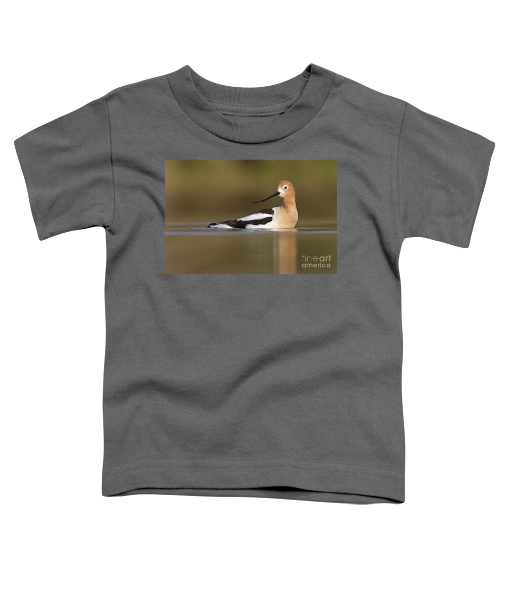 Avocet Toddler T-Shirt featuring the photograph Avocet looking back by Bryan Keil