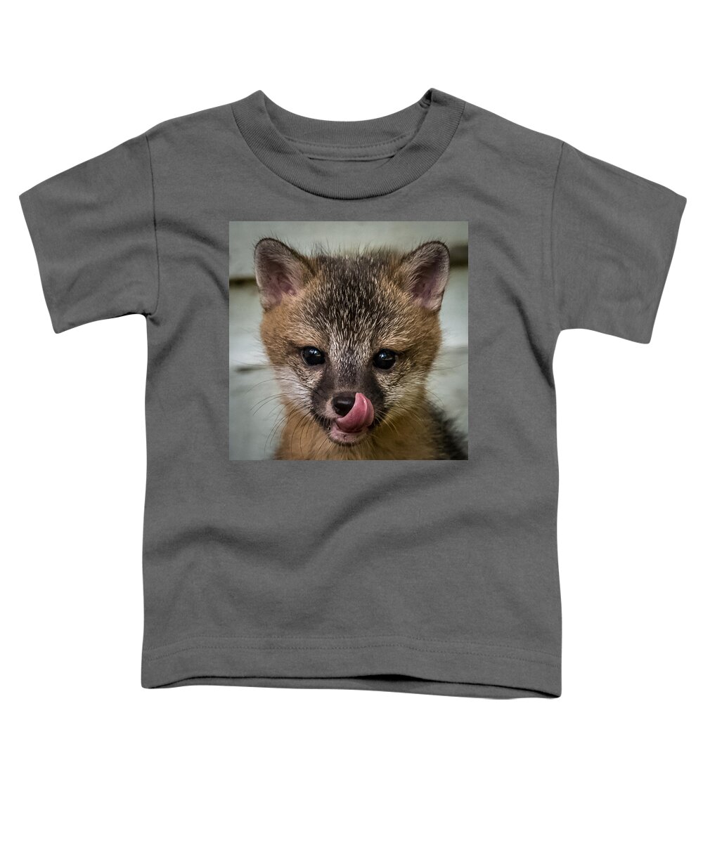 Fox Toddler T-Shirt featuring the photograph Baby Fox by Paul Freidlund