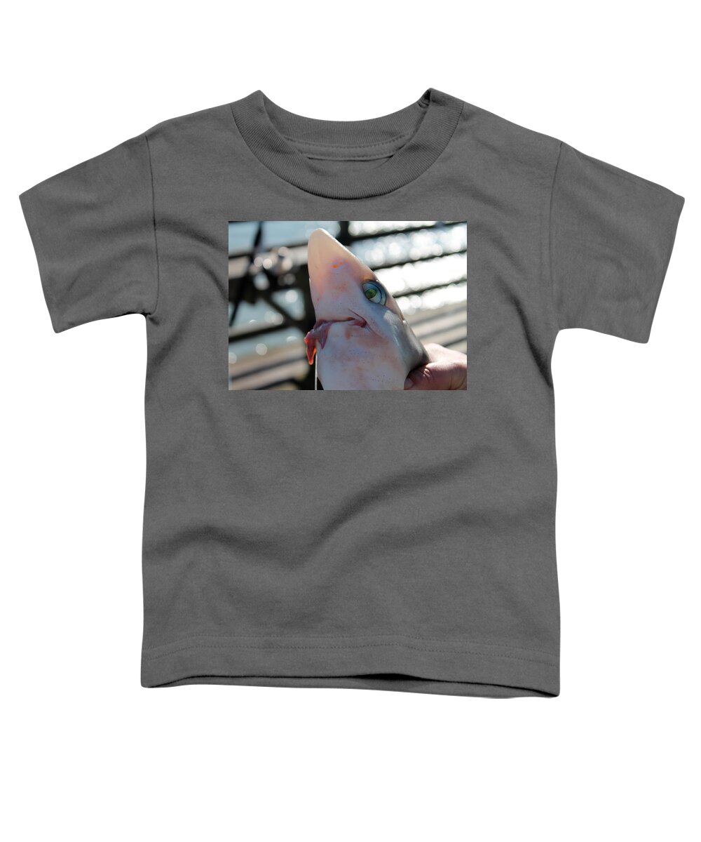 Fish Toddler T-Shirt featuring the photograph Baby Jaws by Jessica Brown