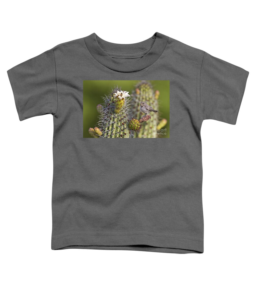 Verdin Toddler T-Shirt featuring the photograph Baby verdin on cactus by Bryan Keil