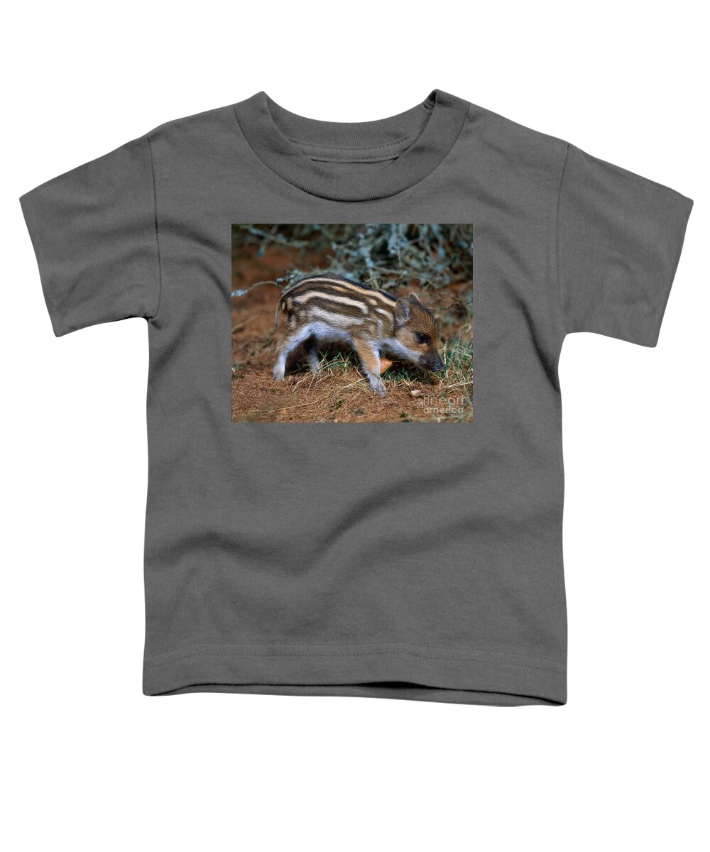 European Wild Boar Toddler T-Shirt featuring the photograph Baby Wild Boar by Hans Reinhard