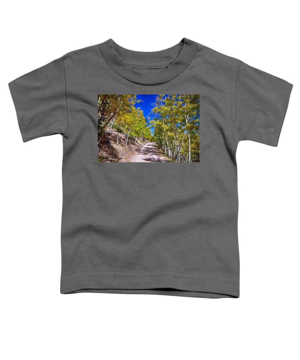 Autumn Toddler T-Shirt featuring the photograph Back Country Road Take Me Home Colorado by James BO Insogna