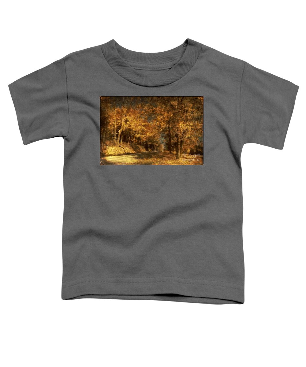 Road Toddler T-Shirt featuring the photograph Back Roads by Lois Bryan