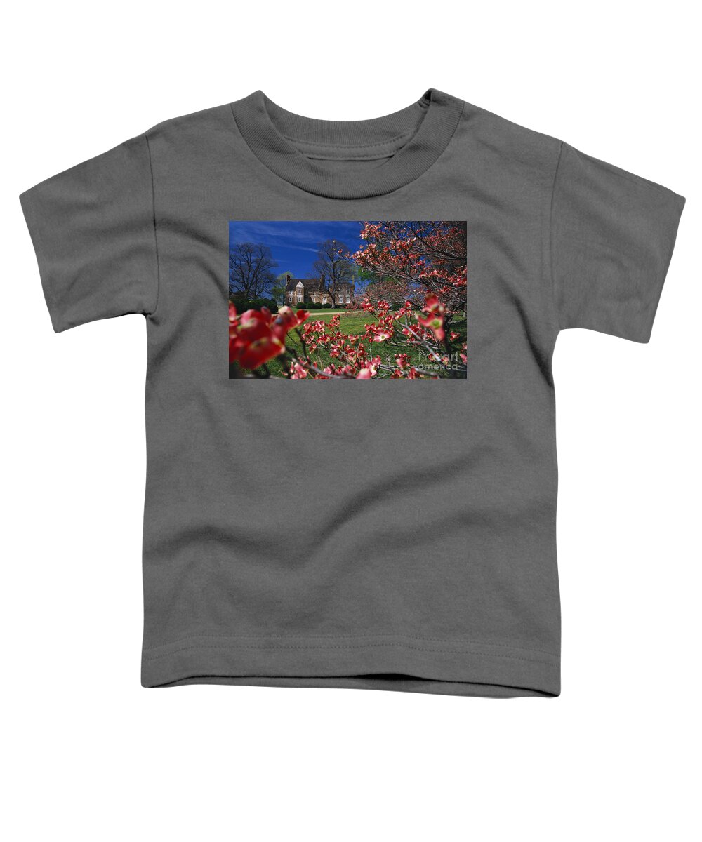 History Toddler T-Shirt featuring the photograph Bacons Castle, Virginia by Bruce Roberts
