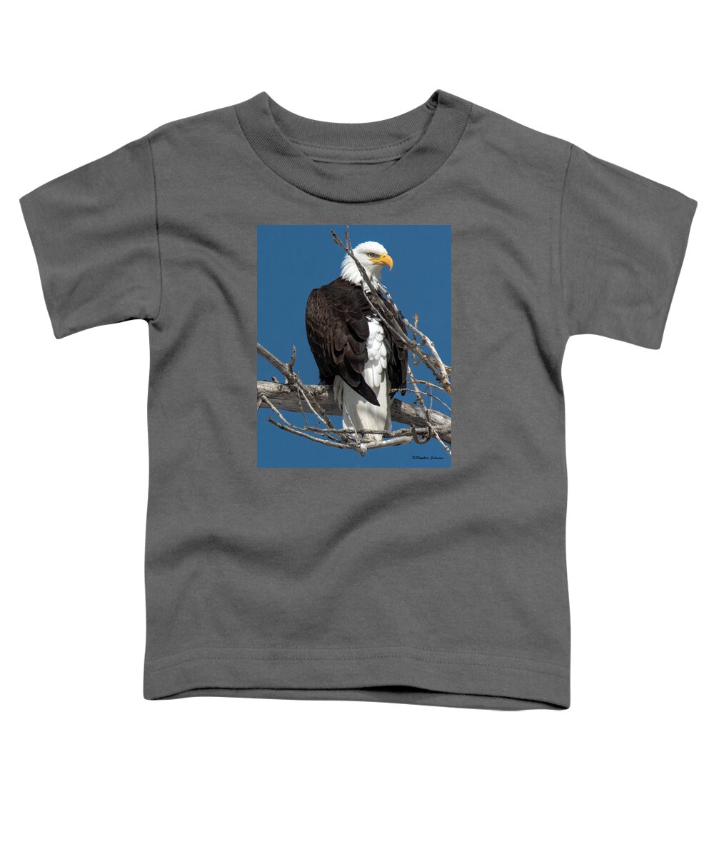 American Bald Eagle Toddler T-Shirt featuring the photograph Bald Eagle Putting on the Ritz by Stephen Johnson