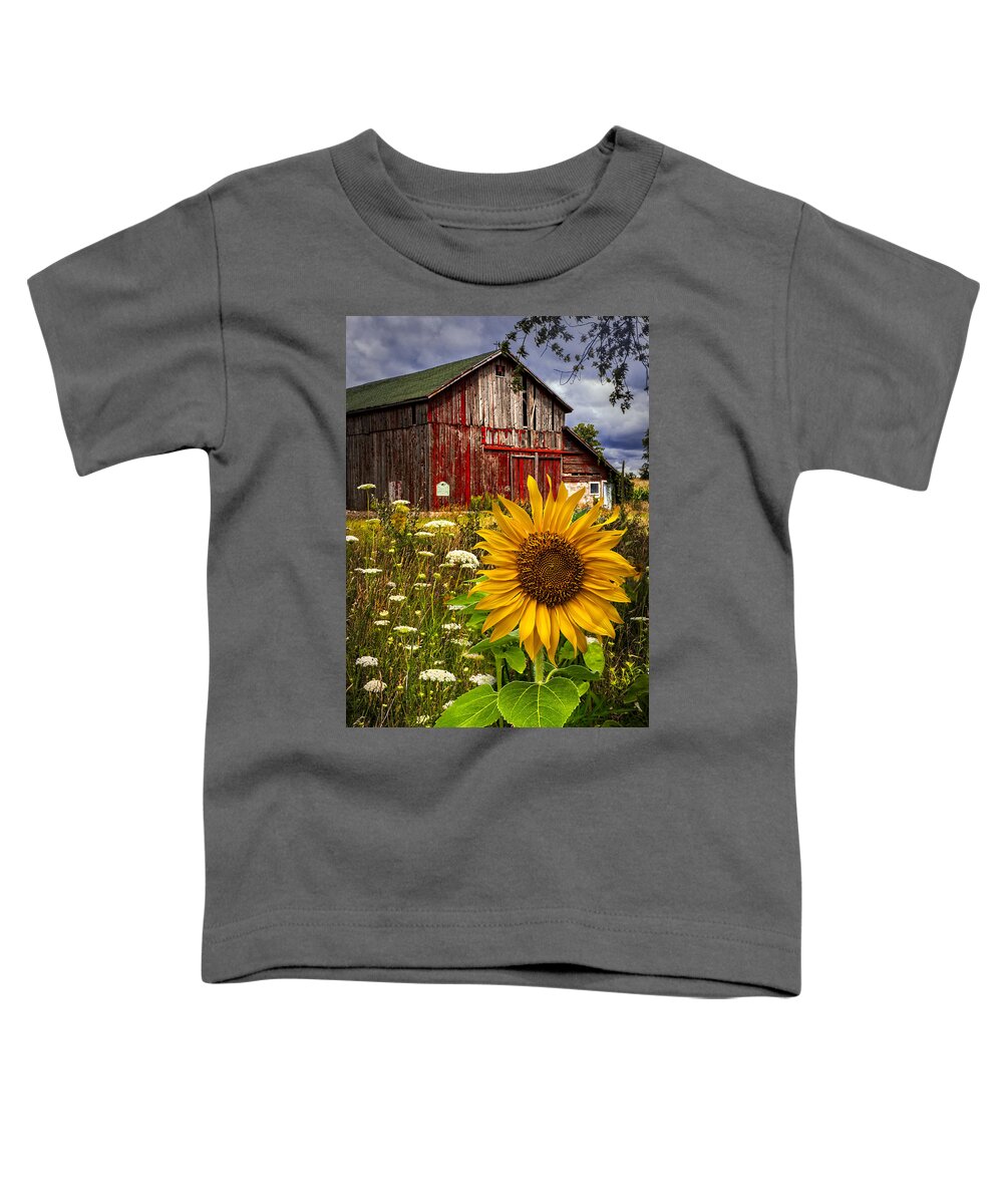 Barn Toddler T-Shirt featuring the photograph Barn Meadow Flowers by Debra and Dave Vanderlaan