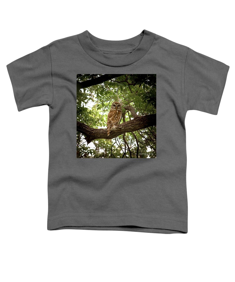Barred Toddler T-Shirt featuring the photograph Barred Owl Under Canopy by Robert Frederick