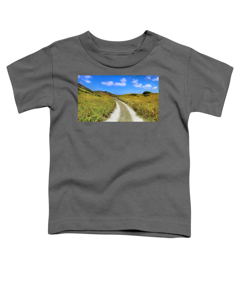 Coastal Scenes Toddler T-Shirt featuring the photograph Beach Road by Sean Davey