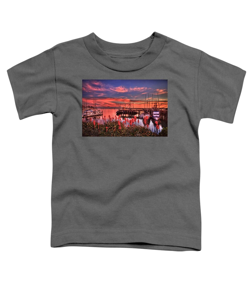 Morro Bay Toddler T-Shirt featuring the photograph Beautiful Harbor by Beth Sargent
