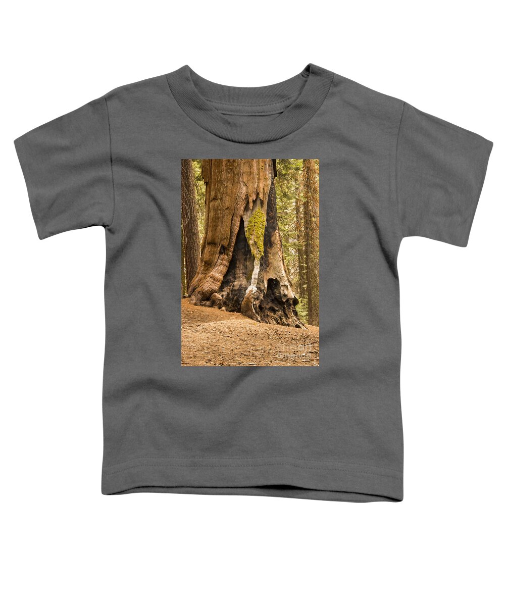 Giant Tree Trees Sequoia National Park California Parks Congress Trail Lightening Scar Burn Scars Odds And Ends Texture Textures Landscape Landscapes Toddler T-Shirt featuring the photograph Beautifully Aged by Bob Phillips