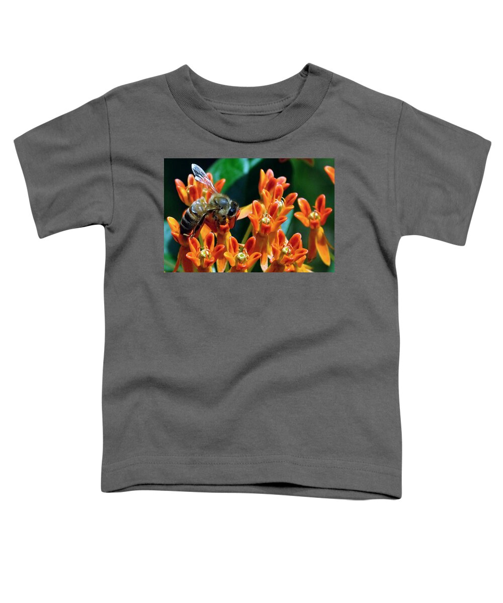 Bee Toddler T-Shirt featuring the photograph Bee's Lunch by Mark Valentine