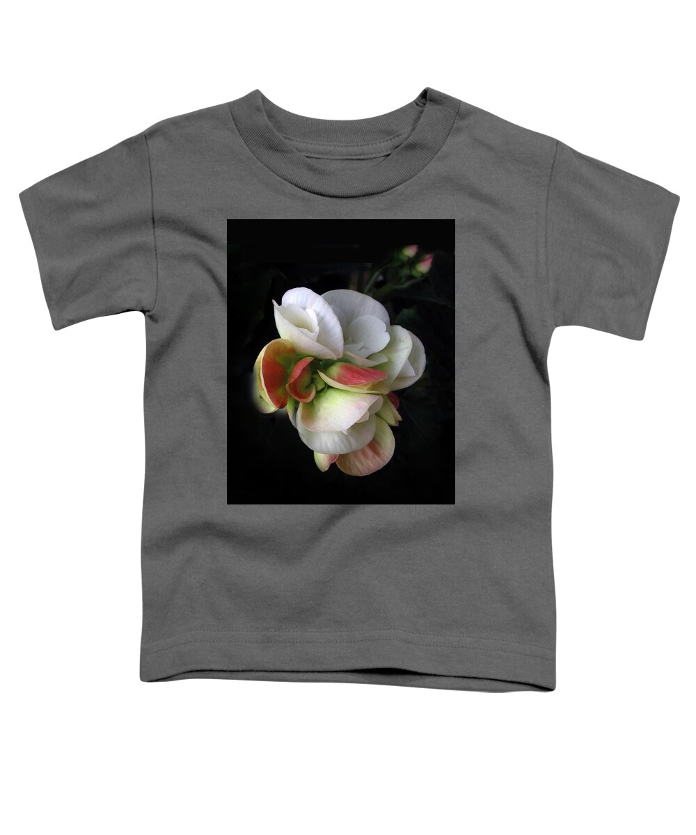 Flower Toddler T-Shirt featuring the photograph Begonia Petals by Jessica Jenney