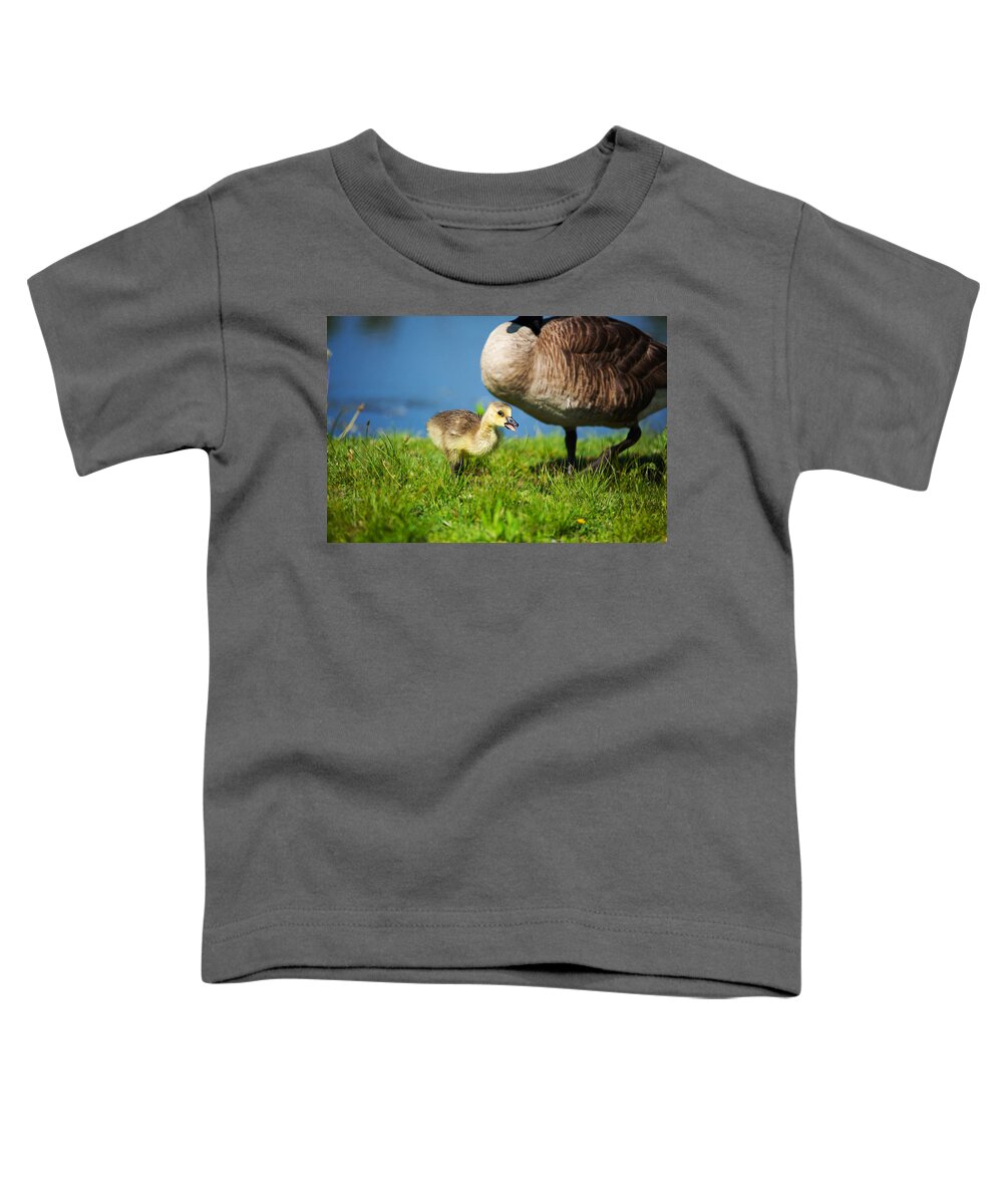 Being Watched Over Toddler T-Shirt featuring the photograph Being Watched Over by Karol Livote