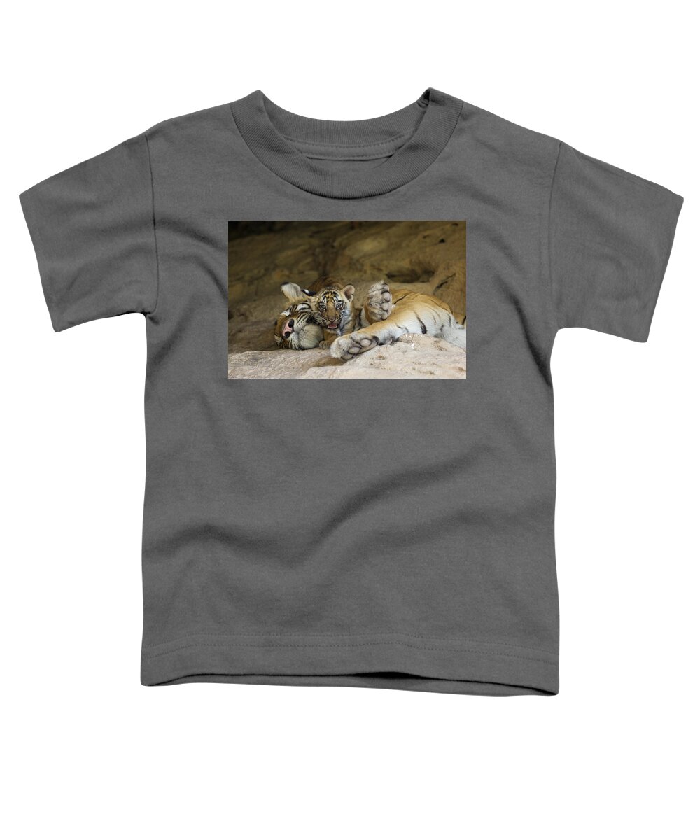 Feb0514 Toddler T-Shirt featuring the photograph Bengal Tiger Cub On Sleeping Mother by Suzi Eszterhas