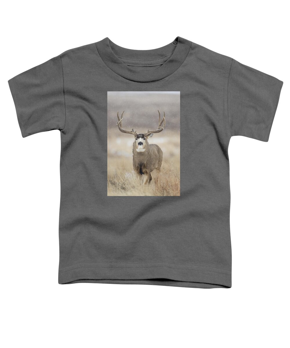 Snow Toddler T-Shirt featuring the photograph Big Sky on Snowy Day by D Robert Franz