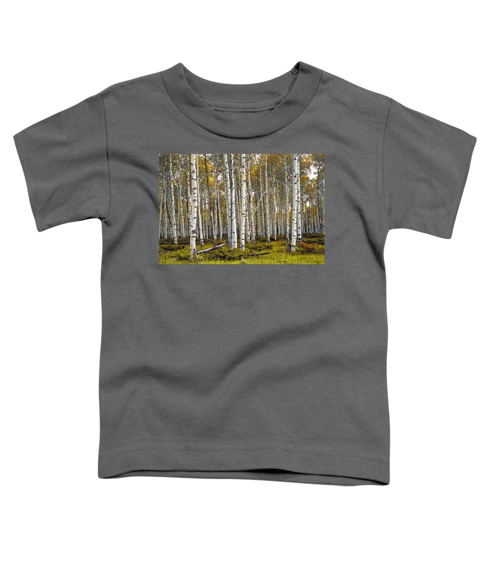 Forest Toddler T-Shirt featuring the photograph Aspen Trees in Autumn by Randall Nyhof