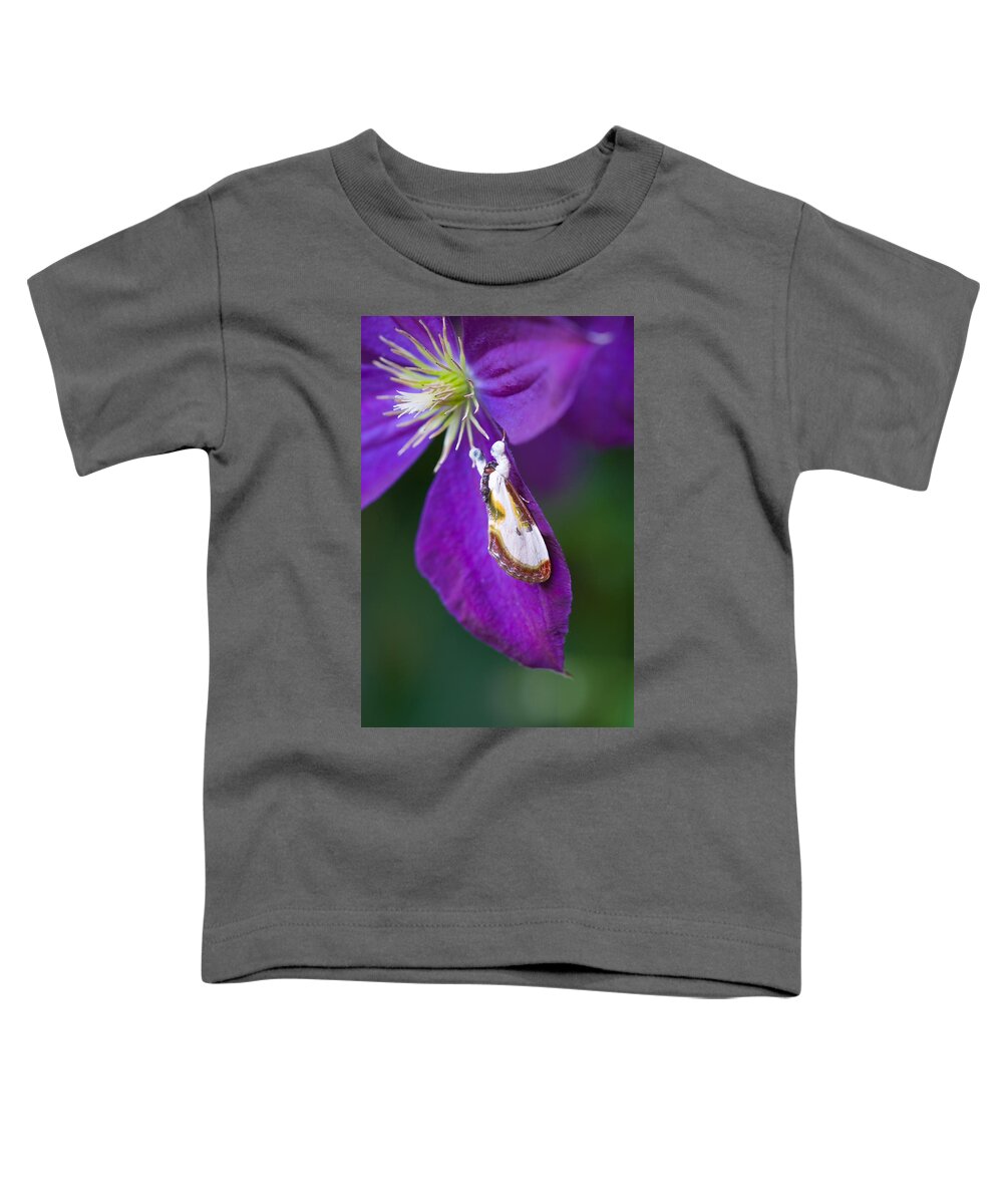 Bird-dropping Moth Toddler T-Shirt featuring the photograph Bird-dropping Moth by Michael Lustbader