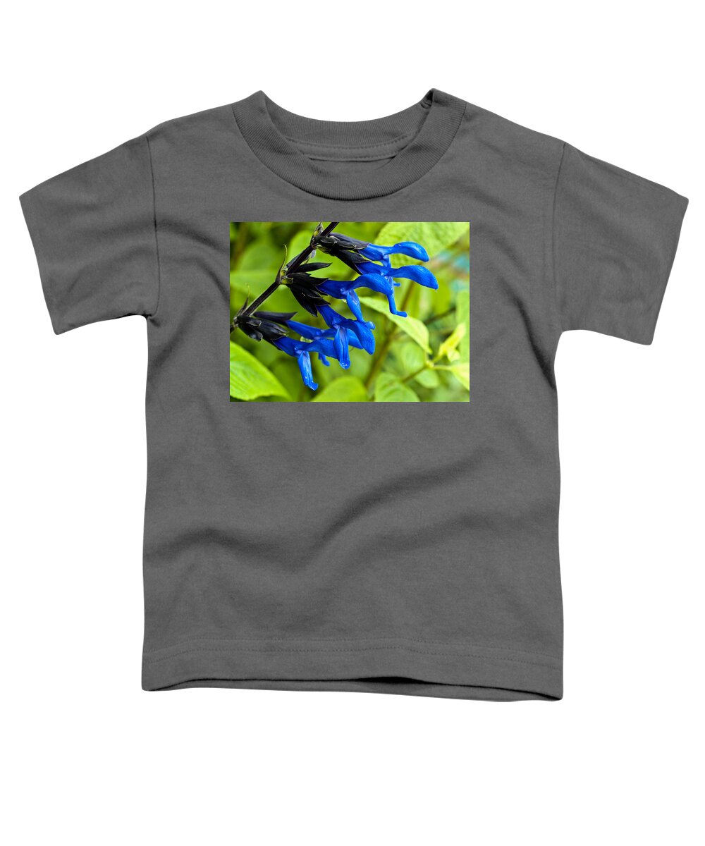 Salvia Toddler T-Shirt featuring the photograph Black and Blue Salvia by Charles Hite