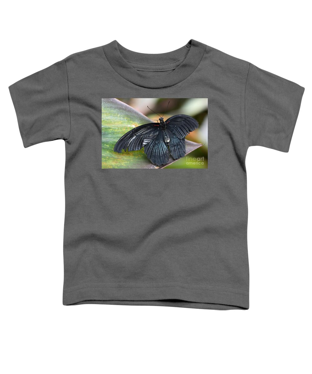 Butterfly Toddler T-Shirt featuring the photograph Black Butterfly by Jeremy Hayden