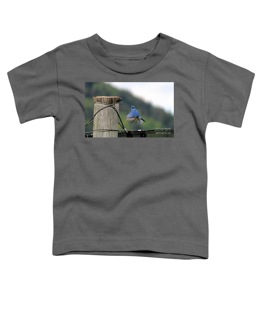 Mountain Blue Bird Toddler T-Shirt featuring the photograph Blue Bird by Ann E Robson