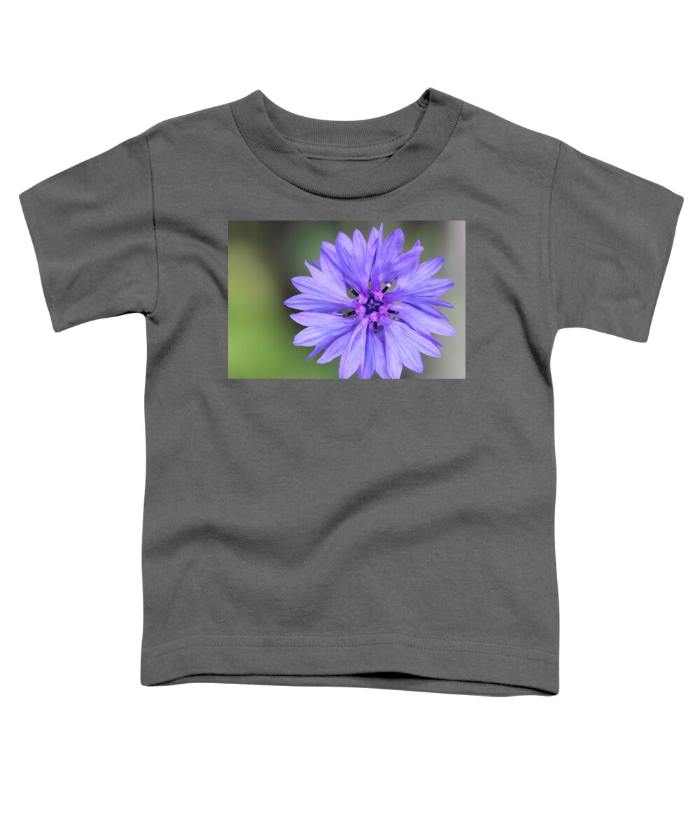 Blue Flower Toddler T-Shirt featuring the painting Blue Button by Ruth Kamenev