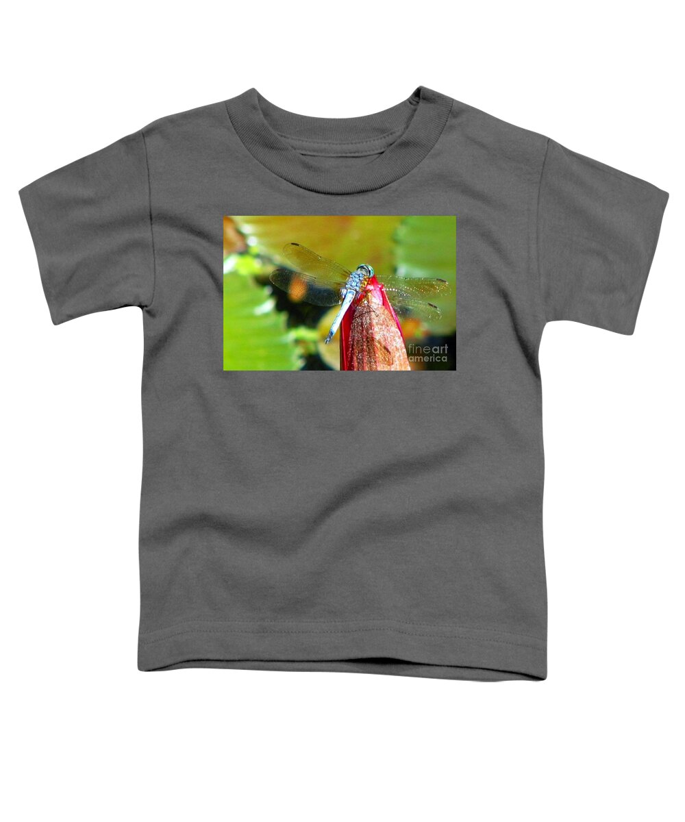 Dragonfly Toddler T-Shirt featuring the photograph Blue Dragonfly Macro by Anita Lewis