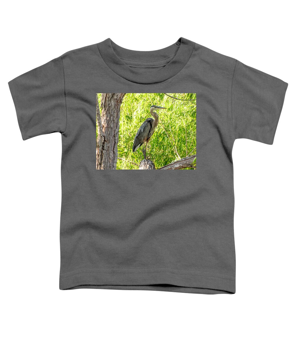 Blue Heron Toddler T-Shirt featuring the photograph Blue Heron at rest by John Johnson