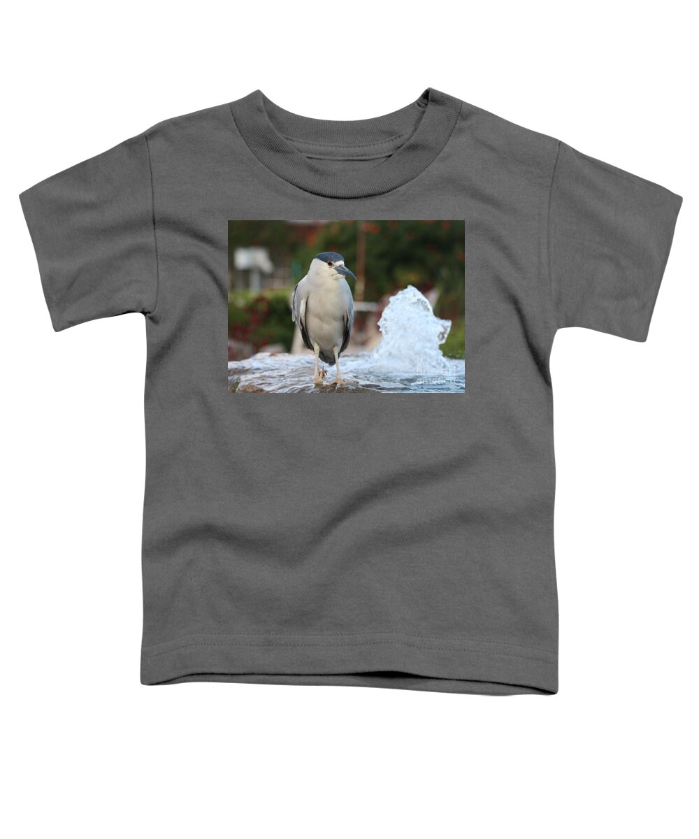 Black Heron With A Broken Right Foot Toddler T-Shirt featuring the photograph Black Heron with Broken Right Foot by John Telfer