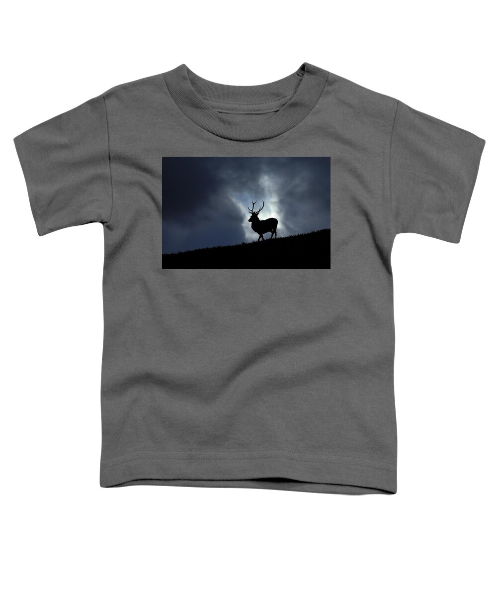 Stag Toddler T-Shirt featuring the photograph Blue horizon by Gavin Macrae