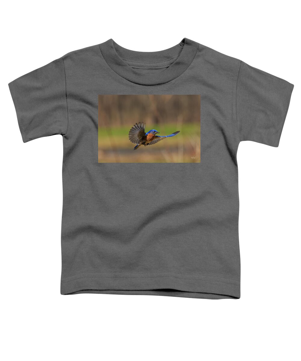 Bluebird Toddler T-Shirt featuring the photograph Bluebird in Flight by Everet Regal