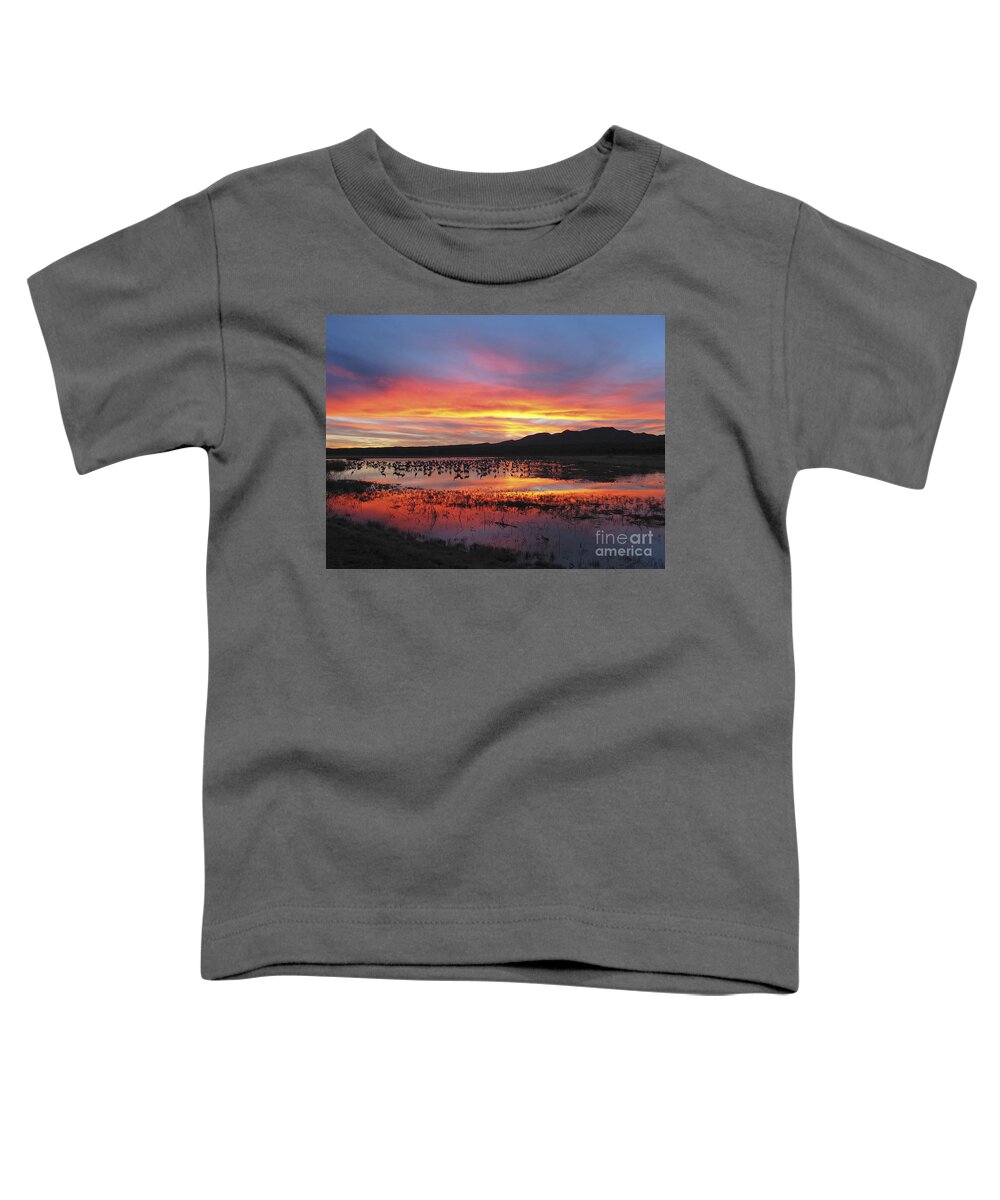 Sandhill Cranes Toddler T-Shirt featuring the photograph Bosque sunset I by Steven Ralser