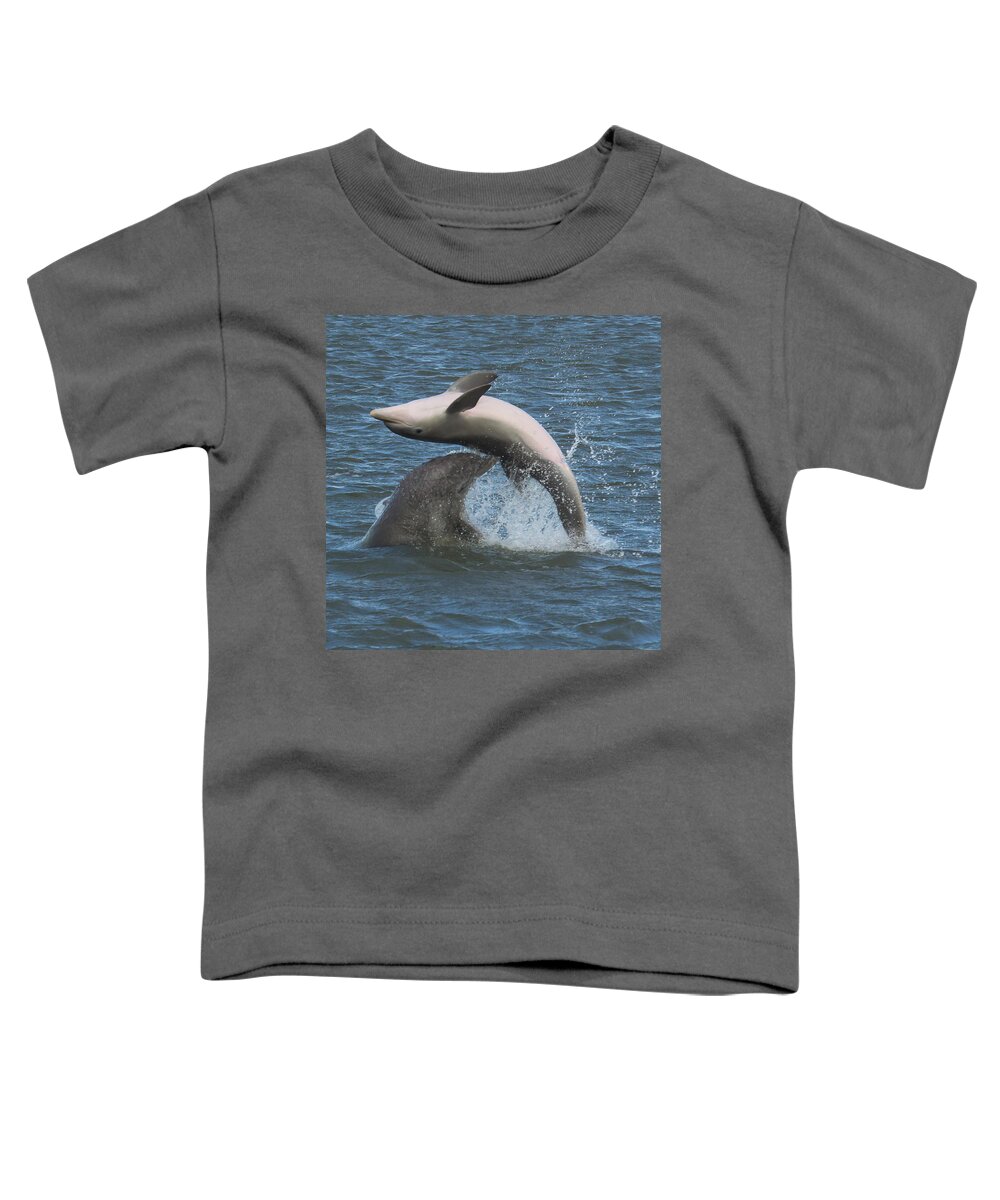 Dolphin Toddler T-Shirt featuring the photograph Bottom's Up by Patricia Schaefer