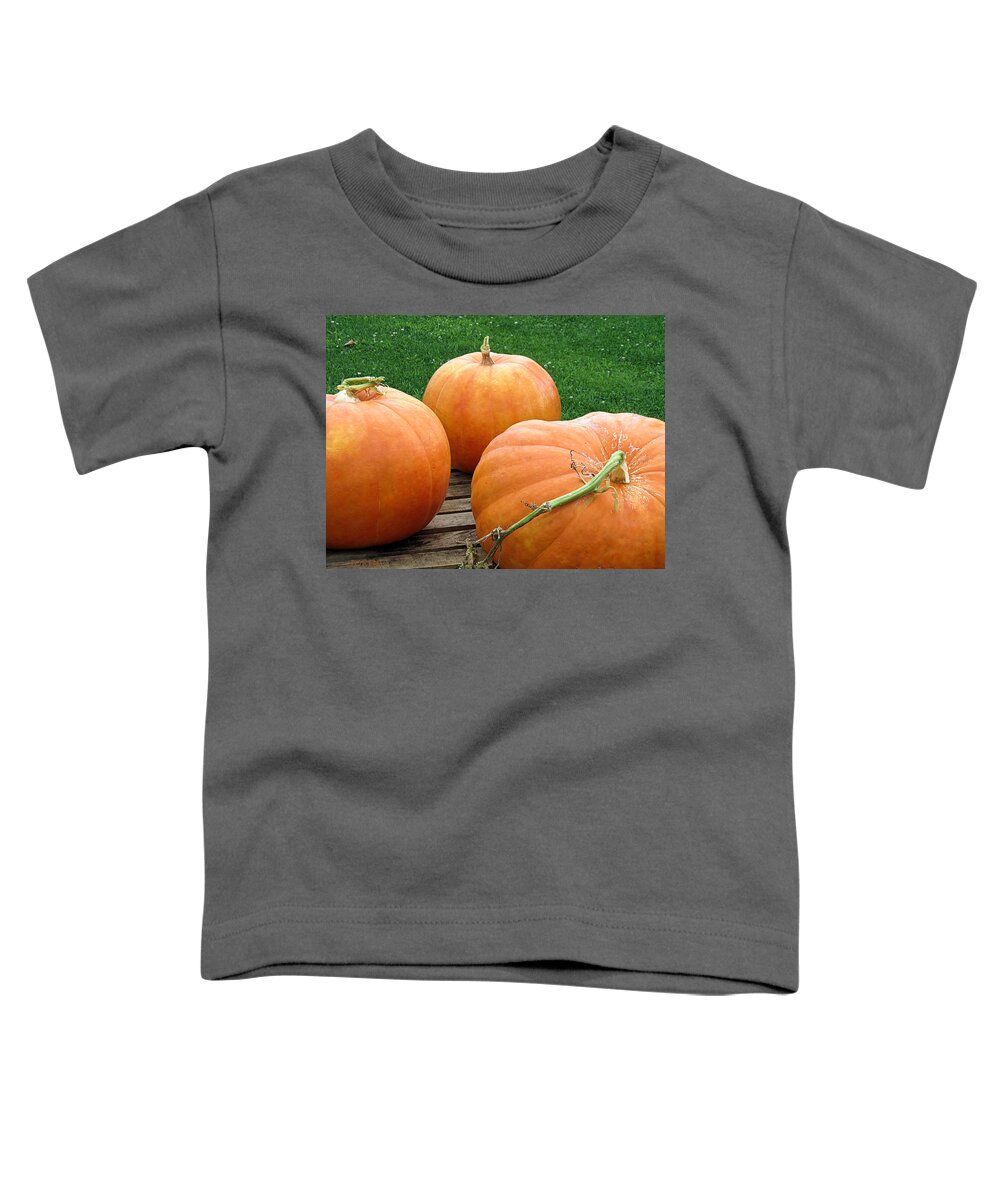 Pumpkins Toddler T-Shirt featuring the photograph Bounty by Janice Drew