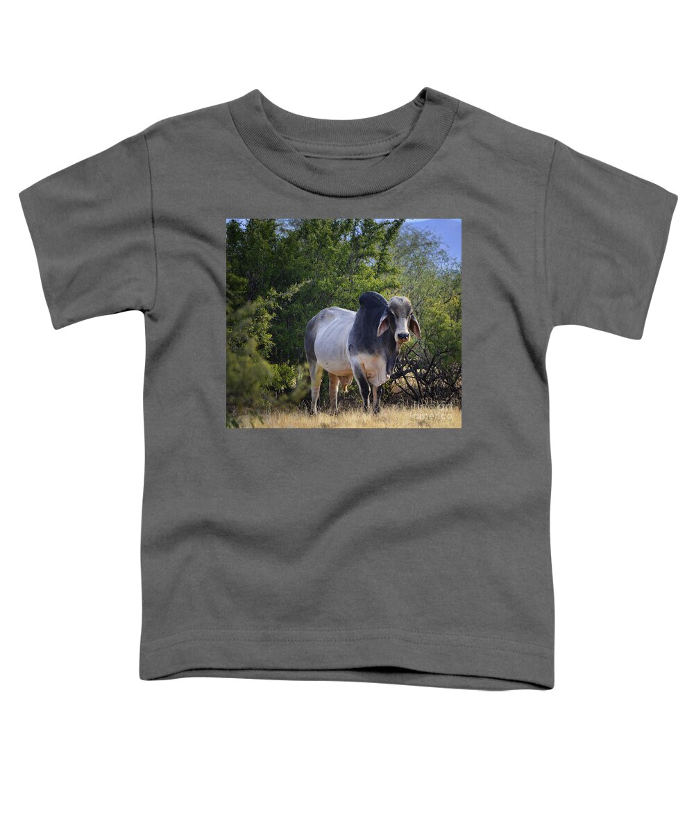 Brahma Toddler T-Shirt featuring the photograph Brahma Cow by Donna Greene