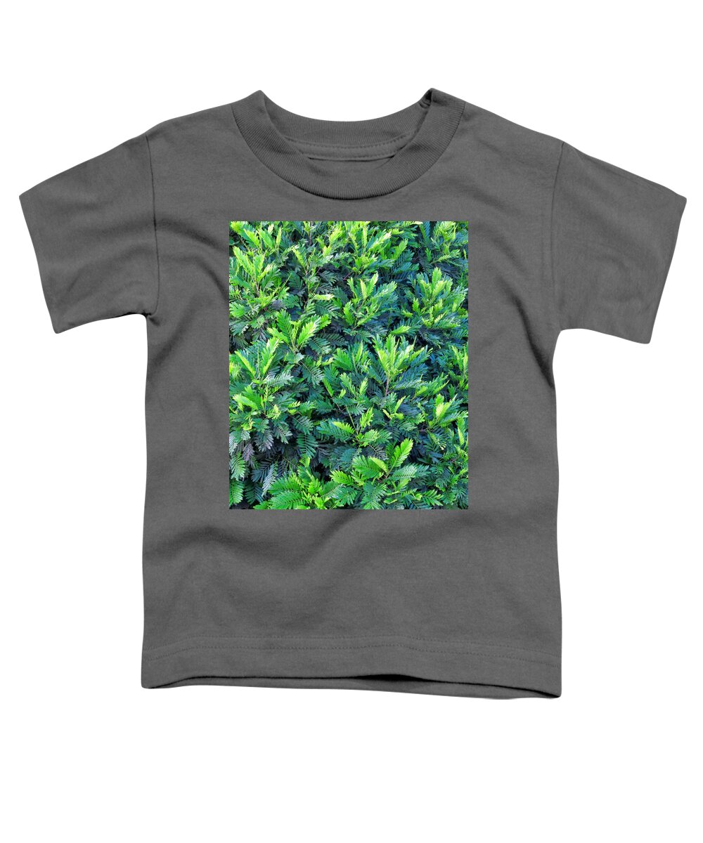 Tree Toddler T-Shirt featuring the photograph Bread Fruit 3 by Dawn Eshelman
