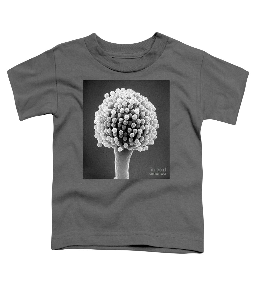 Sem Toddler T-Shirt featuring the photograph Bread Mold by David M. Phillips