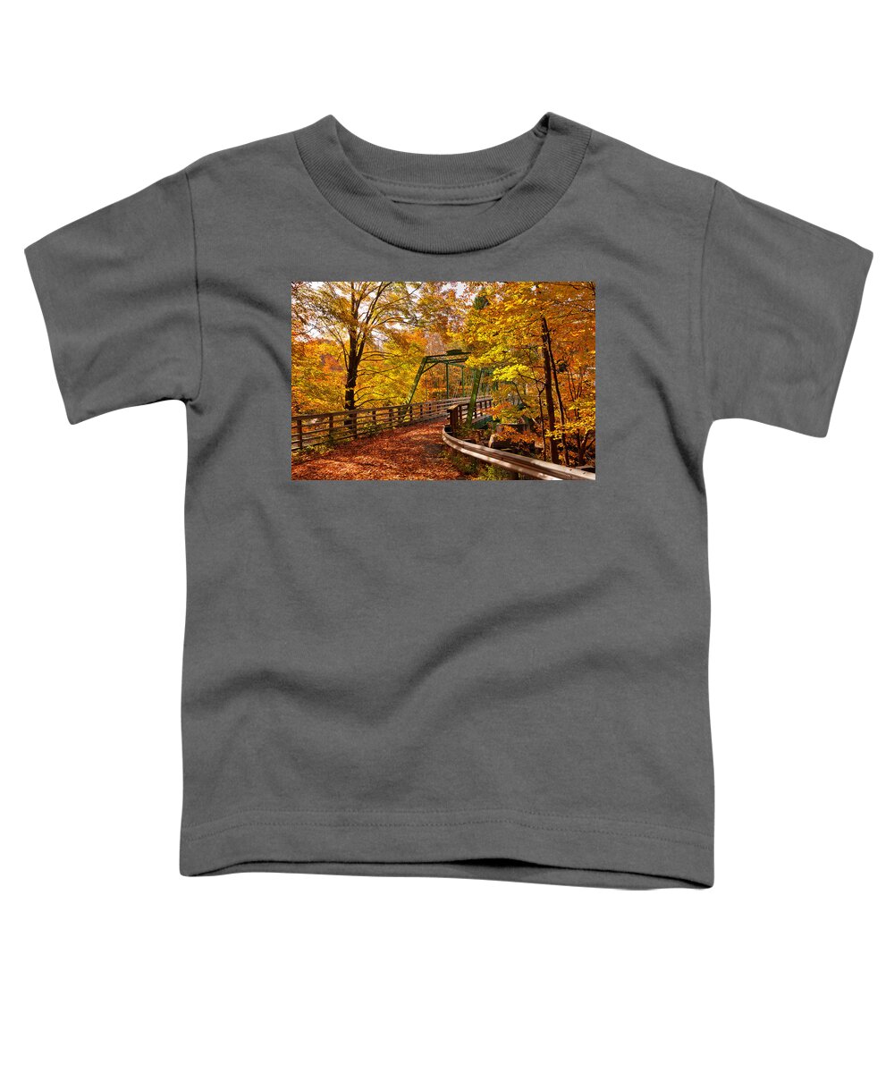 Autumn Toddler T-Shirt featuring the photograph Bridge Dressed in Autumn Gold by Mitchell R Grosky
