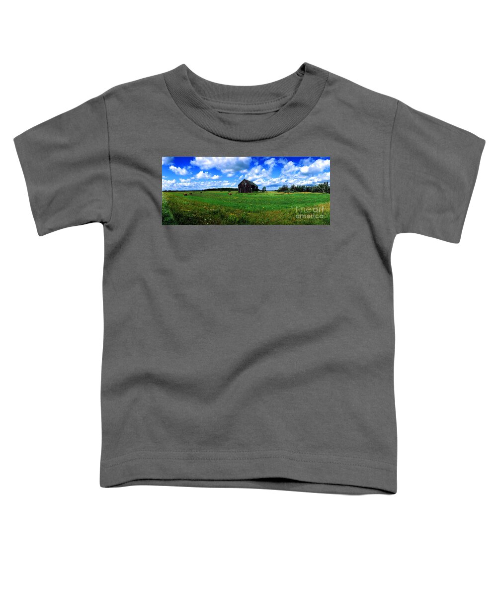 Brimley Toddler T-Shirt featuring the photograph Brimley farm near Sault Ste Marie Michigan by Tom Jelen