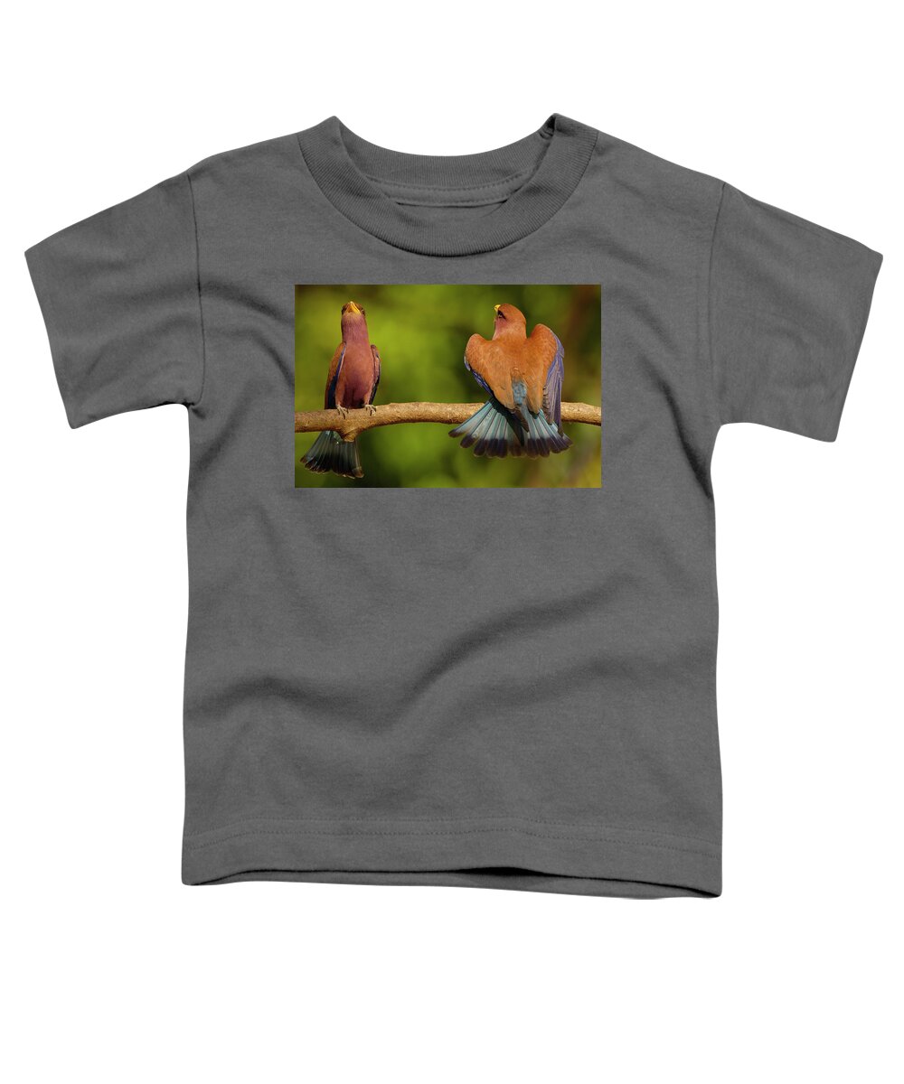 00217600 Toddler T-Shirt featuring the photograph Broad-billed Roller Courtship by Pete Oxford